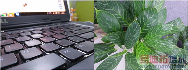 OPPO R3��ϸ���⣺������������û����