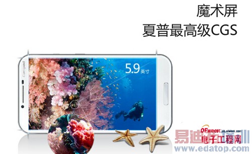 ��֤�ֻ���չ ���ɾ���߶˻��ͻع�