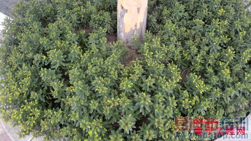 �������֮�� ����С����Geek 2����