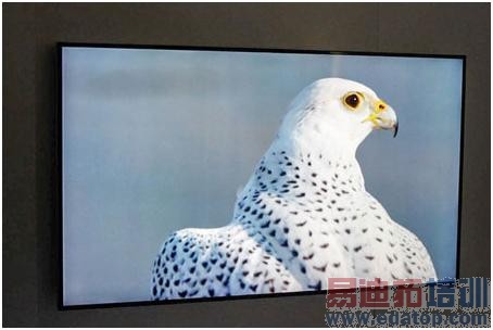 2014最奇特的十大电子产品大盘点