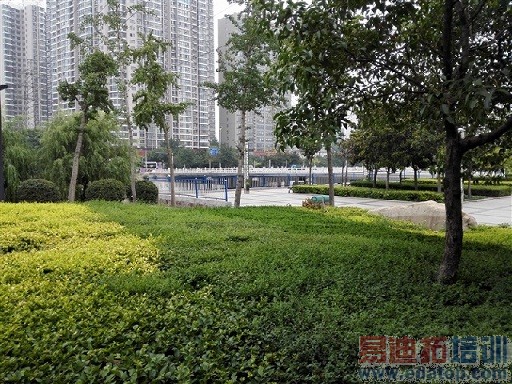 ��ҫ6����ҫ3x pro�Ա����⣺����˭���ʺ���