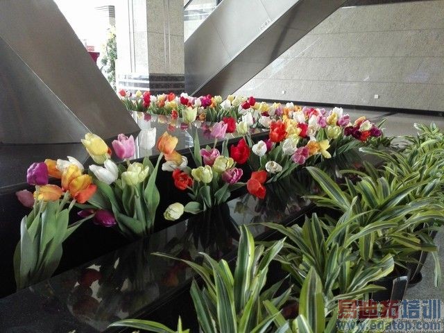 ��Ϊ��ҫ6������ֻ��8�� ����Ҳ����ѷɫ