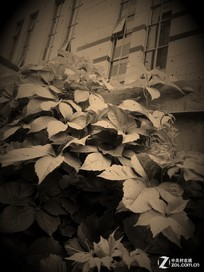 ��Ϊ��ҫ6������ֻ��8�� ����Ҳ����ѷɫ