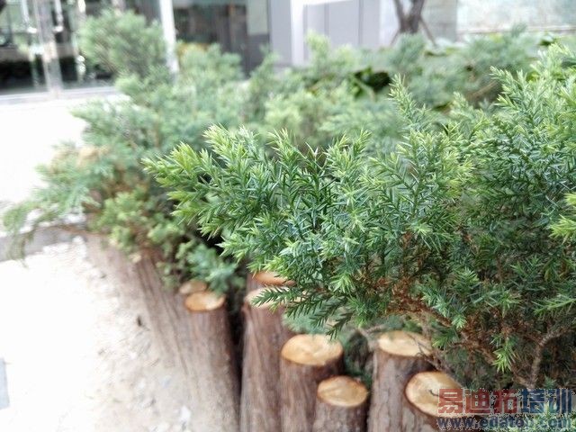 ��Ϊ��ҫ6������ֻ��8�� ����Ҳ����ѷɫ