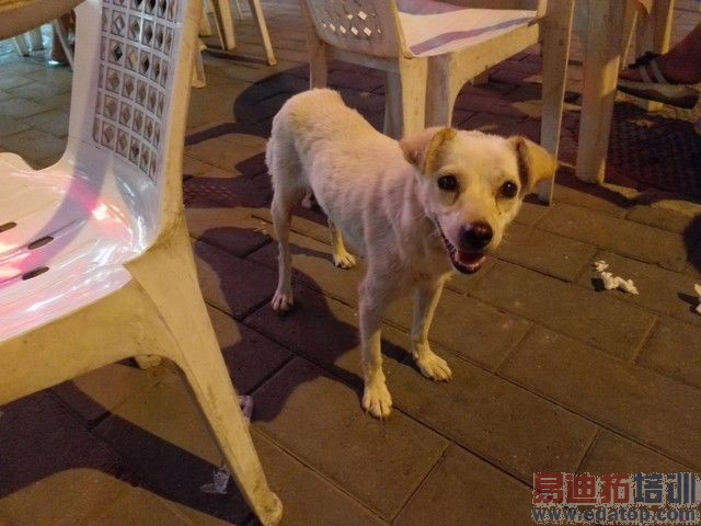 ��Ϊ��ҫ6������ֻ��8�� ����Ҳ����ѷɫ