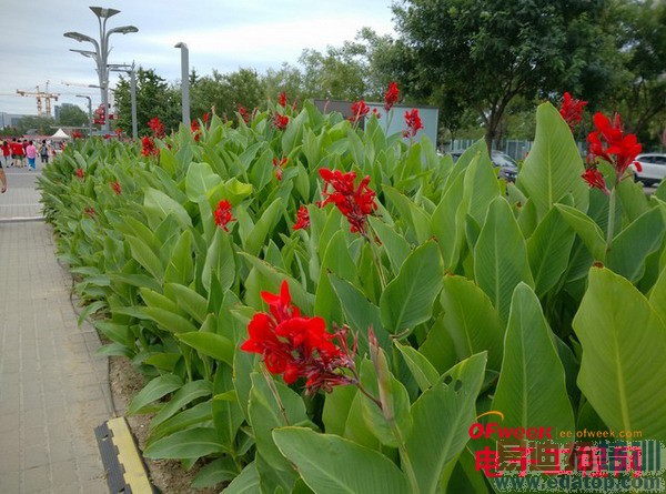 С���ֻ�4�׷����⣨��ͼ��