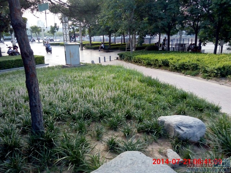 誓死狙击红米Note 联想黄金斗士A8全面评测(图解)