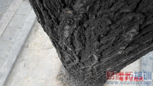 С��4/��ҫ6/һ�ӶԱ����⣺1999��ǿ������֮��