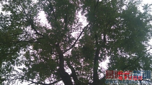 С��4/��ҫ6/һ�ӶԱ����⣺1999��ǿ������֮��