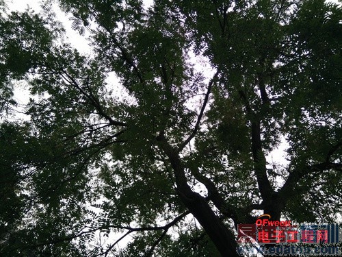 С��4/��ҫ6/һ�ӶԱ����⣺1999��ǿ������֮��