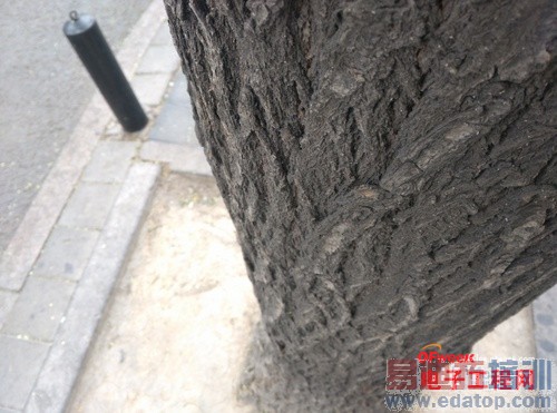 С��4/��ҫ6/һ�ӶԱ����⣺1999��ǿ������֮��