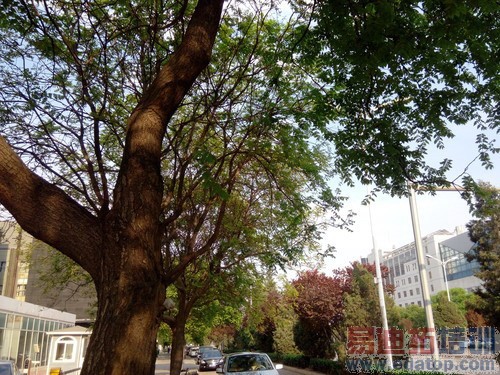 ����ǿ���ʸ�PKС�� ����ƽ�ʿS8����