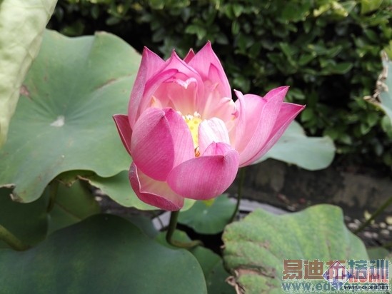 1999��������˭��һ��/��ҫȫ��Ա����⣨ͼ�⣩