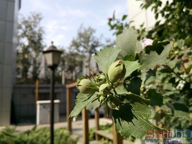 �˺˶��ĺ�˭ǿ? ����X50TS��սС��3