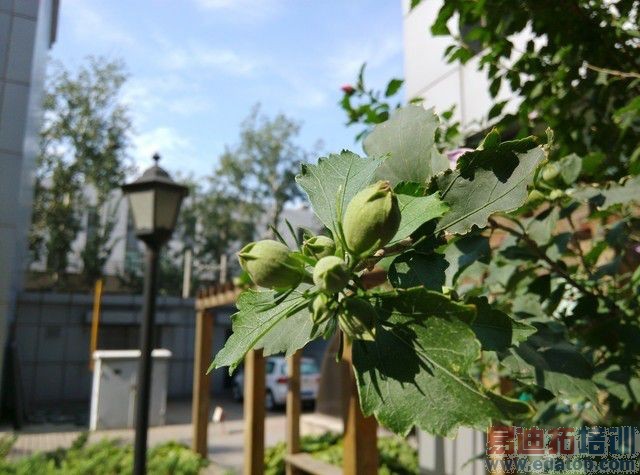 �˺˶��ĺ�˭ǿ? ����X50TS��սС��3