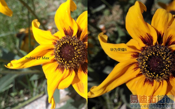 荣耀6与nubia Z7 Max对比测评:究竟谁更胜一筹?(图文详解)