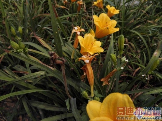 �ƶ�����ҫ6���ˣ�����С��3�����п�����+��ͼ�ع⣩