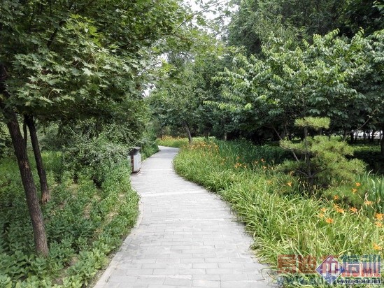 �ƶ�����ҫ6���ˣ�����С��3�����п�����+��ͼ�ع⣩