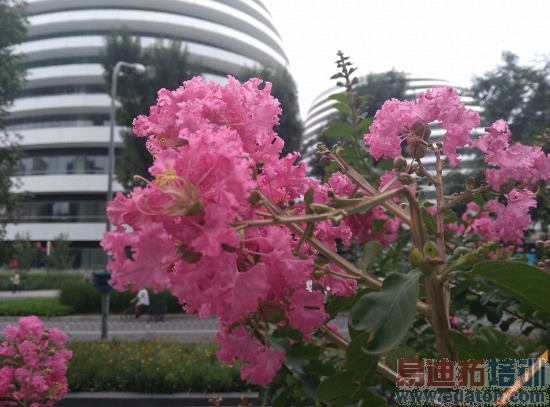 双卡4G全网通nubia Z7mini评测 霸气侧露无视小米