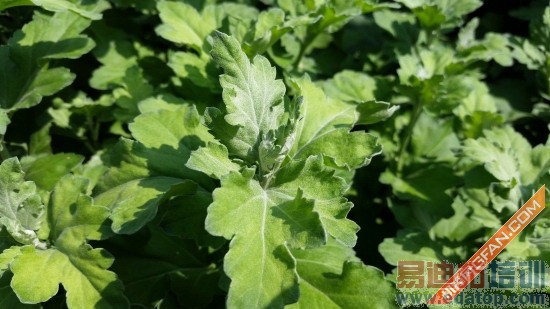 ��С��5���� ����GALAXY S5��ȫ����