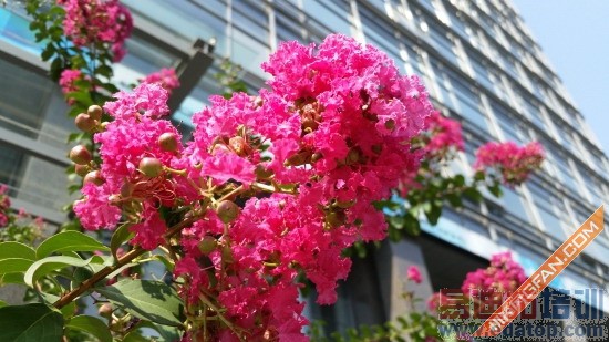 ��С��5���� ����GALAXY S5��ȫ����