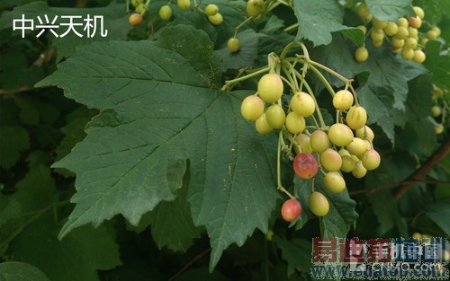 �������PKС��4��˭��վ��