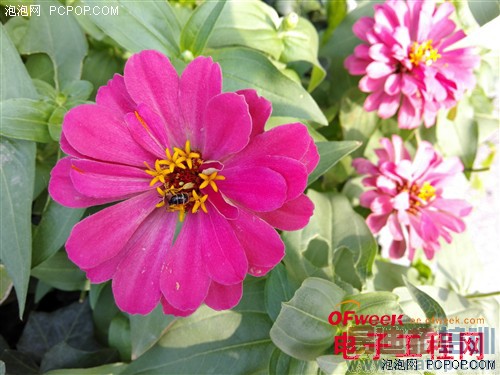 ��Ϊ��ҫ������X1���⣺��˼910��������920��ͼ��