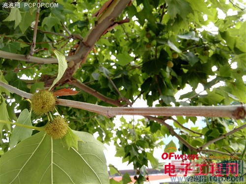 ��Ϊ��ҫ������X1���⣺��˼910��������920��ͼ��