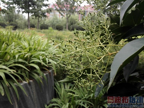 ��Ϊ��ҫ6ȫ���ռ����⣨��ͼ��