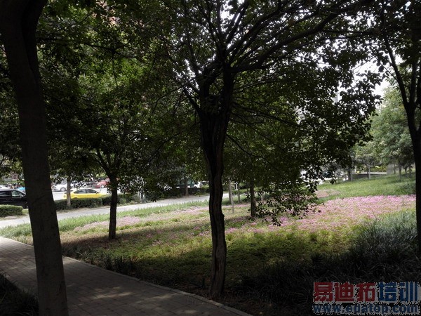 ��Ϊ��ҫ6ȫ���ռ����⣨��ͼ��