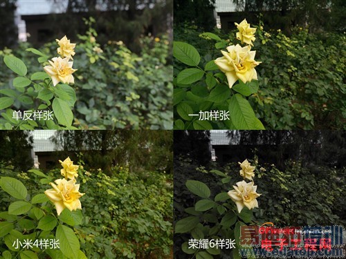 С��4/����ҫ6/һ�ӶԱ����⣺˭������MX4��󾢵У���������MX4�ع⣩