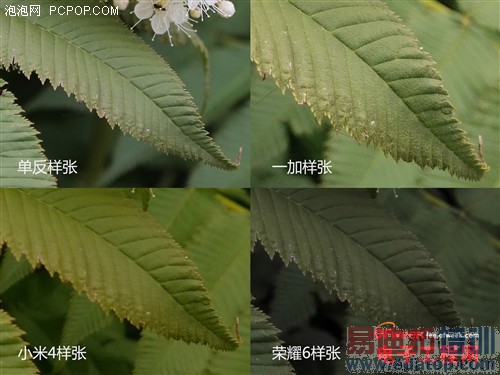 С��4/����ҫ6/һ�ӶԱ����⣺˭������MX4��󾢵У���������MX4�ع⣩