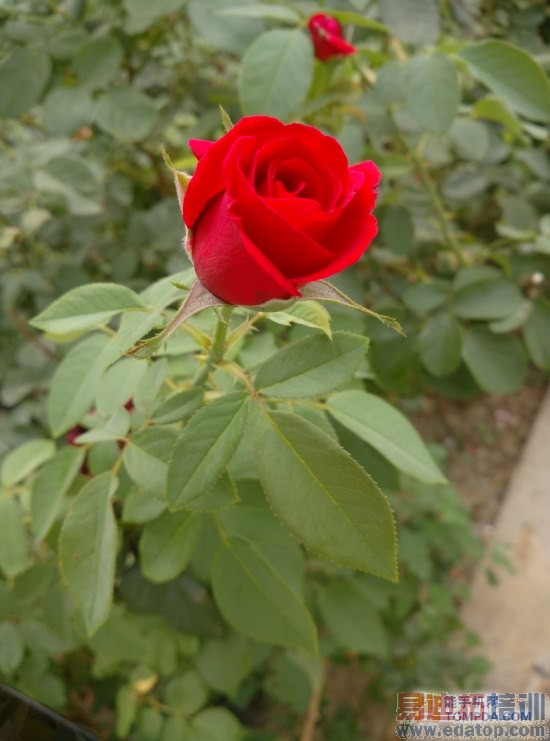 小米手机4深度终极评测(图文)