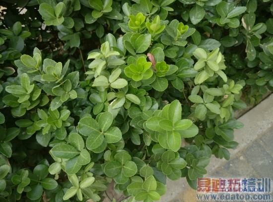 小米手机4深度终极评测(图文)