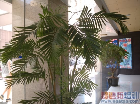 小米手机4深度终极评测(图文)