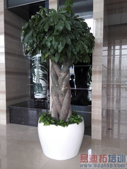 ��Ϊ��ҫX1���⣺���Mate2��ϲ�ǲΰ룿��ͼ��