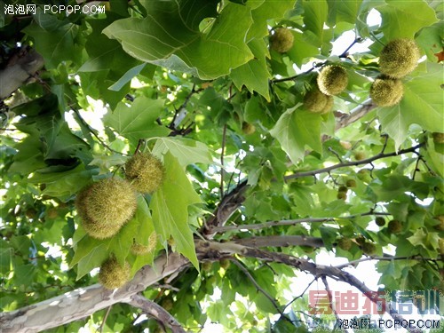 ��Ϊ��ҫ6�������⣺ֵ��ֵ1999������ͼ��