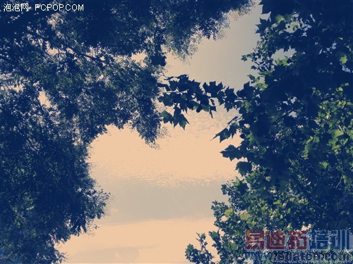 ��Ϊ��ҫ6�������⣺ֵ��ֵ1999������ͼ��