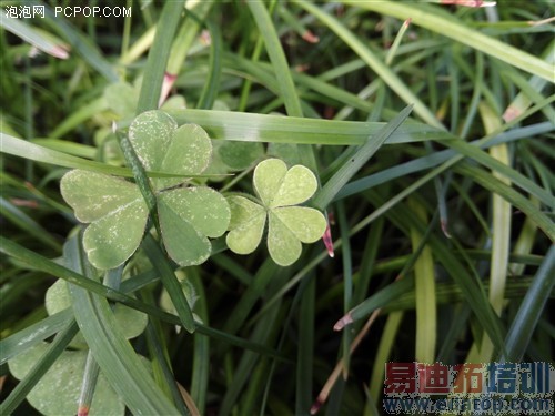 ��Ϊ��ҫ6�������⣺ֵ��ֵ1999������ͼ��