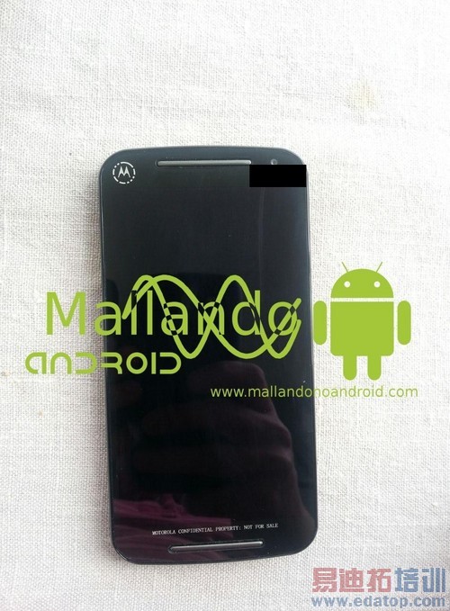 С��4����/����MX4���ع� �����»�����