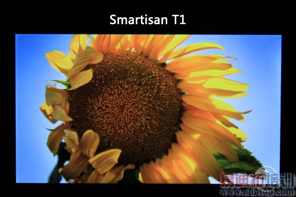 �����ֻ���ʽ��ȫ�����⣨��ͼ��