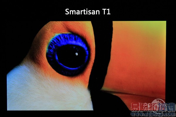 �����ֻ���ʽ��ȫ�����⣨��ͼ��