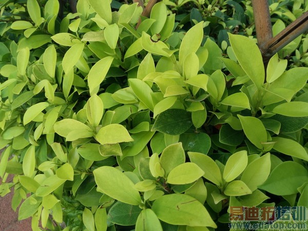 �����ֻ���ʽ��ȫ�����⣨��ͼ��