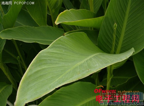 С���ֻ�4������⣨��ͼ��