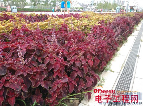 С���ֻ�4������⣨��ͼ��