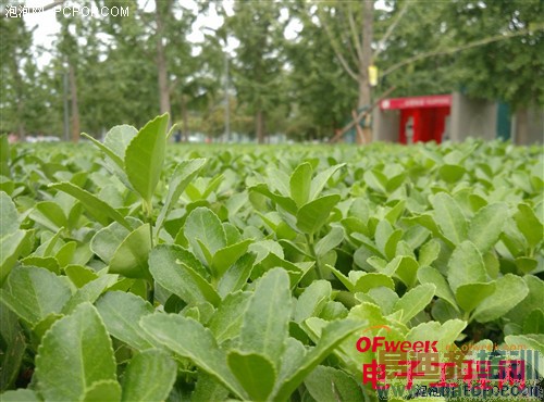 С���ֻ�4������⣨��ͼ��