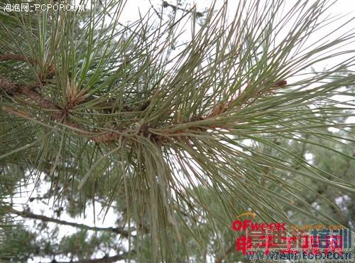 С���ֻ�4������⣨��ͼ��