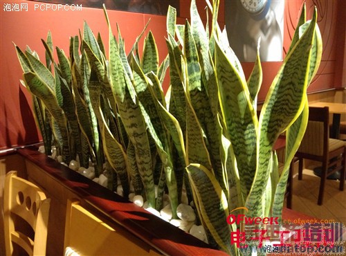 С���ֻ�4������⣨��ͼ��