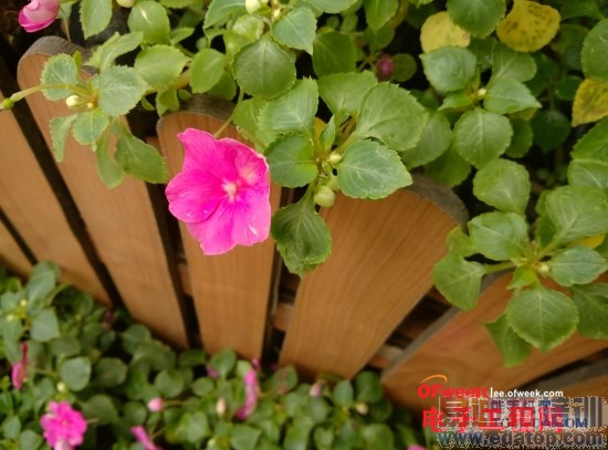 С��4/��ҫ6/һ�ӶԱ����⣺1999Ԫ����MX4����Ϸ��