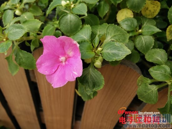 С��4/��ҫ6/һ�ӶԱ����⣺1999Ԫ����MX4����Ϸ��